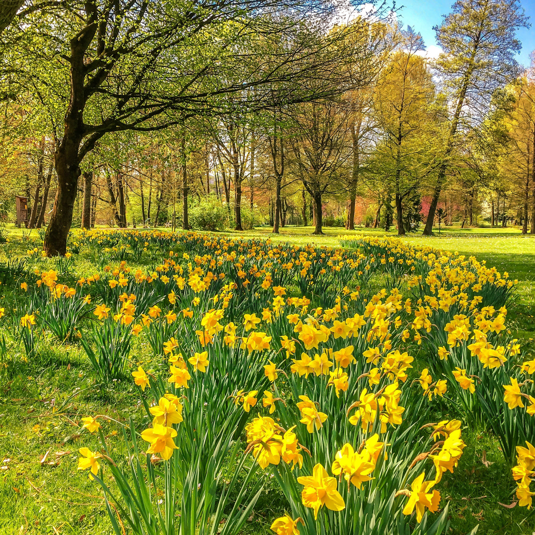 Spring is here: My favourite time of year!