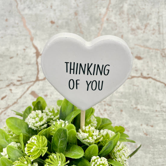 Thinking of You Plant Pot Message