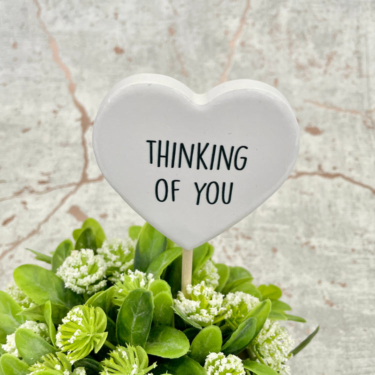Thinking of You Plant Pot Message